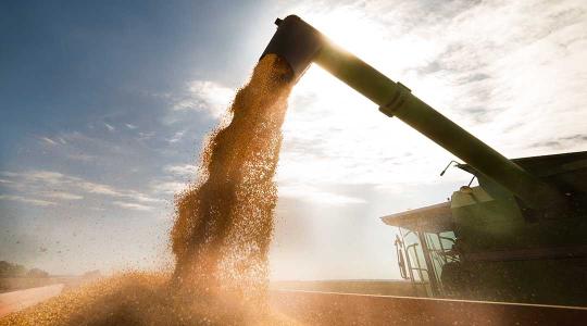 Ezt a 3 dolgot követelik az Ukrajnával határos országok agrárminiszterei