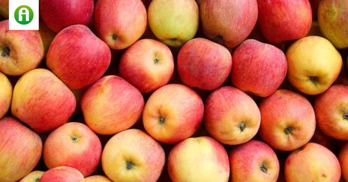 Az évtized második leggyengébb uniós almatermése várható
