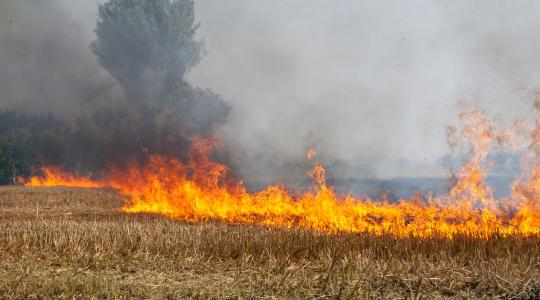 15 hektáron ég a gabona, veszélyben volt egy kombájn is