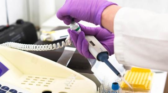 Új módszer teheti megfizethetőbbé a laboratóriumban termesztett húsokat