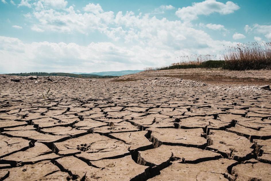 A mediterrán időjárás jelentősen átalakítja a hazai növénytermesztést A mediterrán időjárás jelentősen átalakítja a hazai növénytermesztést