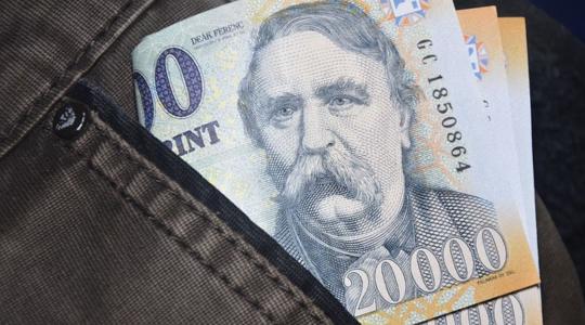 100 millió forintra emelkedik a Széchenyi Mikrohitel MAX+ összege