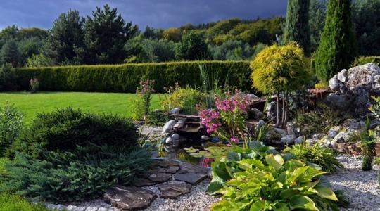 Xeriscaping: Ismerd meg a víztakarékos kertek jellemzőit!