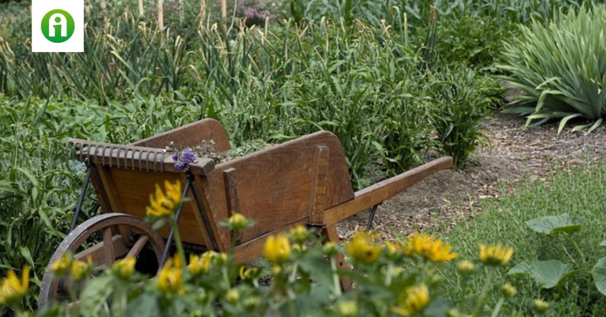 Hogyan készítsd fel a kertedet a télre?