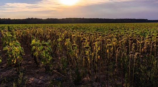 Kiket érint a kárenyhítő juttatás újraszámítása?