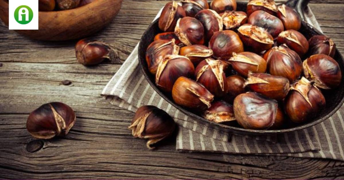 Szelídgesztenye: mit rejt ez a természetes vitaminbomba? Szelídgesztenye: mit rejt ez a természetes vitaminbomba?