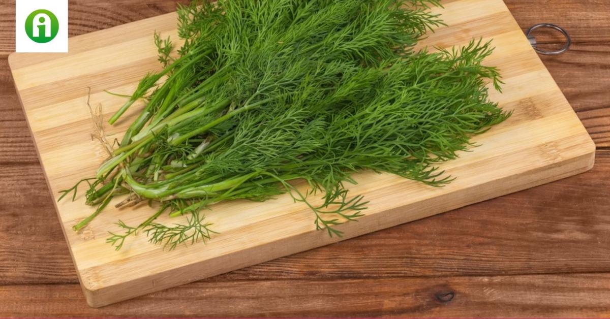 Hihetetlen, mennyi mindenre jó a kapor