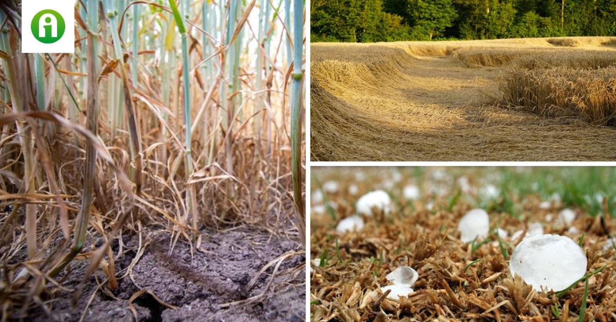 Módosult a kárenyhítéssel kapcsolatos rendelet – mire kell figyelni?