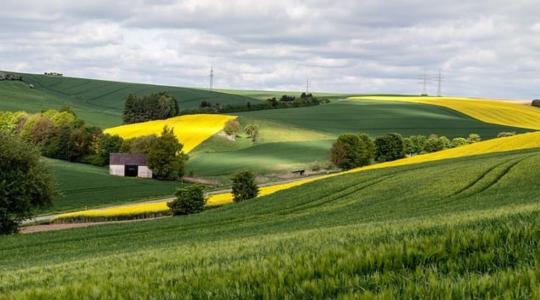 Tovább erősödik Szlovákiával az együttműködés az agrárium területén 