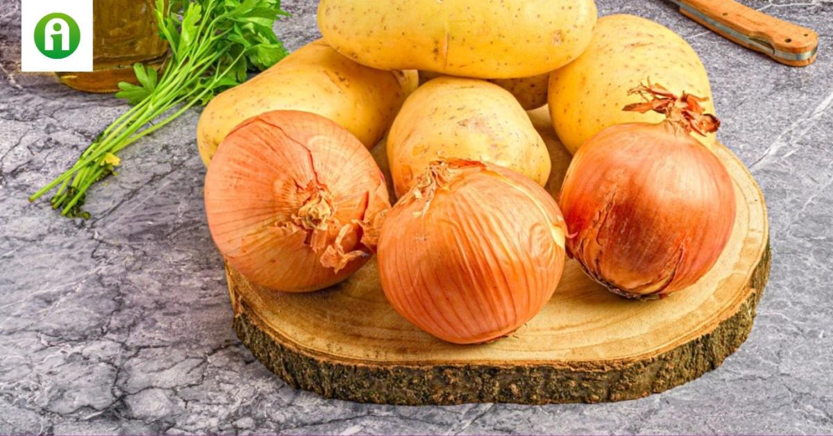 Krumpli- és hagymaszeletelés után rögtön elmosod a kést? Nem? Pedig kellene Krumpli- és hagymaszeletelés után rögtön elmosod a kést? Nem? Pedig kellene