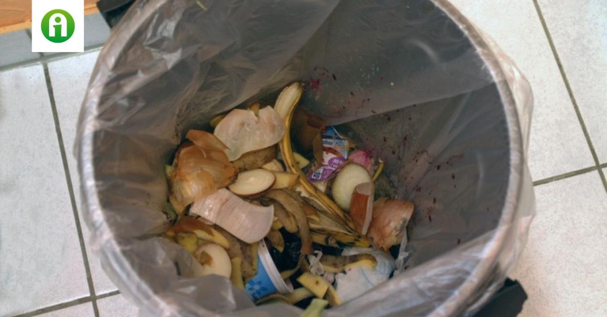 Pazarlóan bánunk a készételekkel Pazarlóan bánunk a készételekkel