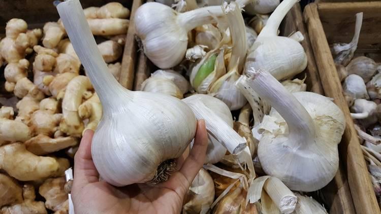 Az elefánt fokhagyma a 2 kilogrammot is elérheti, és finomabb, mint hinnéd Az elefánt fokhagyma a 2 kilogrammot is elérheti, és finomabb, mint hinnéd