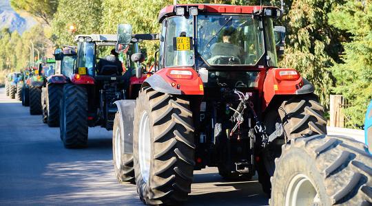 Mire elég, ha 10 traktor bemehet Rómába?