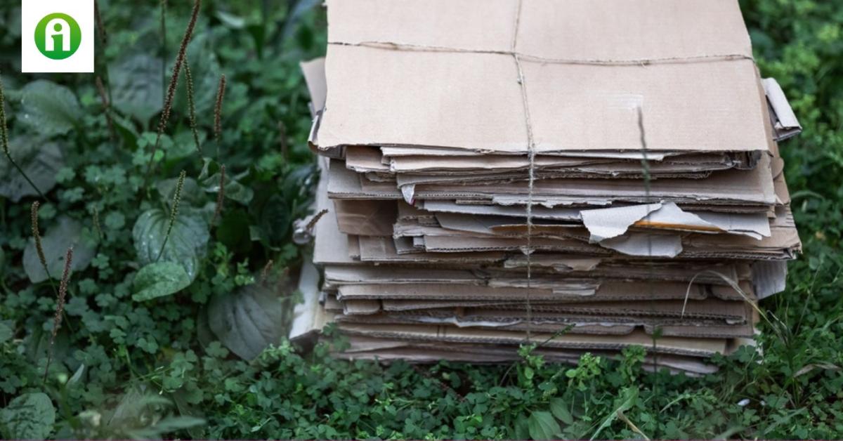 Újrahasznosítás – hibák, amiket mindannyian elkövetünk 