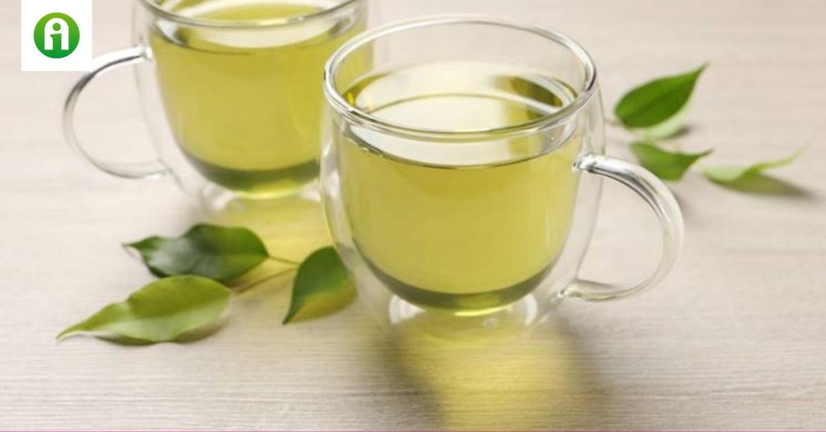 Tény vagy tévhit, hogy a zöld tea segít a fogyásban? Tény vagy tévhit, hogy a zöld tea segít a fogyásban?