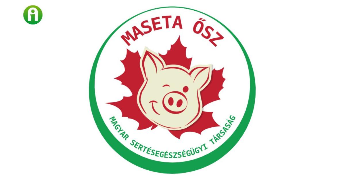 MASETA Ősz 2024 – a Magyar Sertésegészségügyi Társaság rendezvénye 
