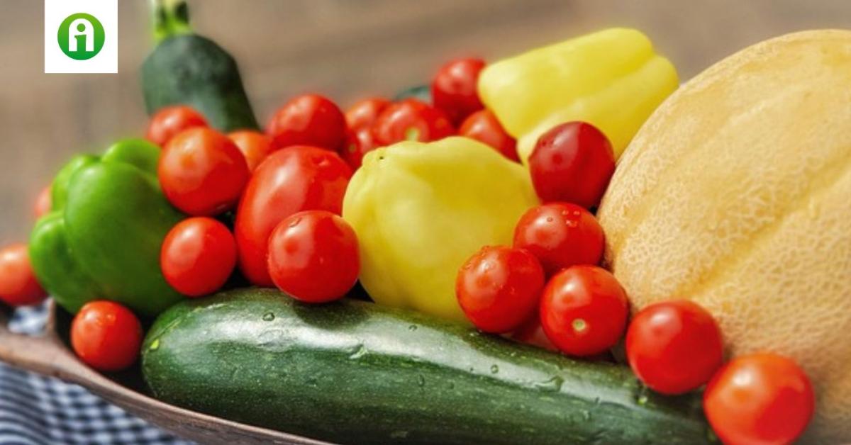 Biokontroll országjárás – Nyíregyháza Biokontroll országjárás – Nyíregyháza