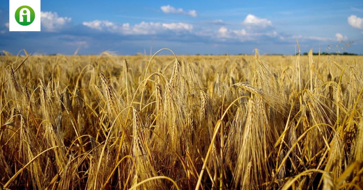 119,3 milliárd forintot kaptak a gazdák