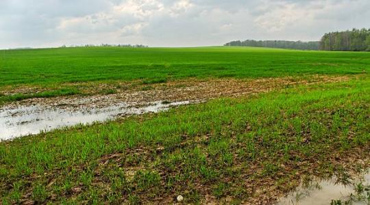 Gyenge minőségű a szántód? Jelentős támogatással átalakíthatod és még jót is teszel vele