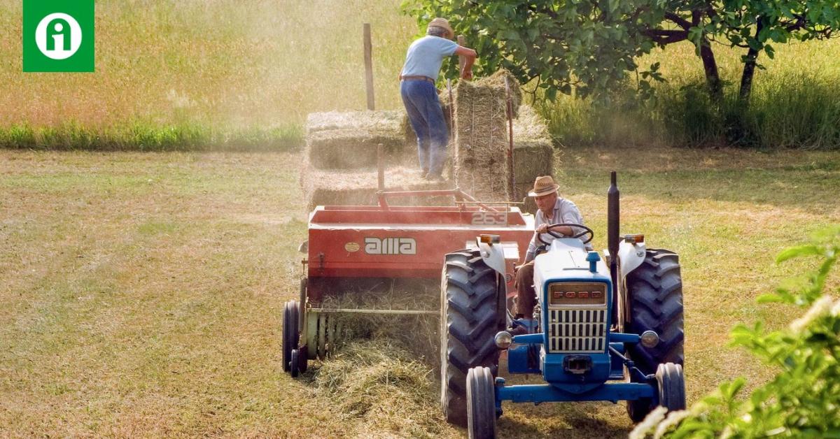 Magyar mezőgazdaság: elérkeztünk a falhoz? Magyar mezőgazdaság: elérkeztünk a falhoz?