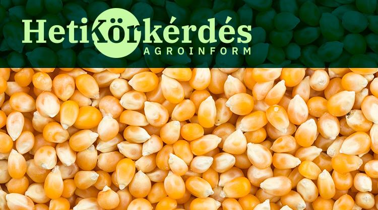 Heti Körkérdés: Posztot érdemlő terméseredmények 2024-ben Heti Körkérdés: Posztot érdemlő terméseredmények 2024-ben