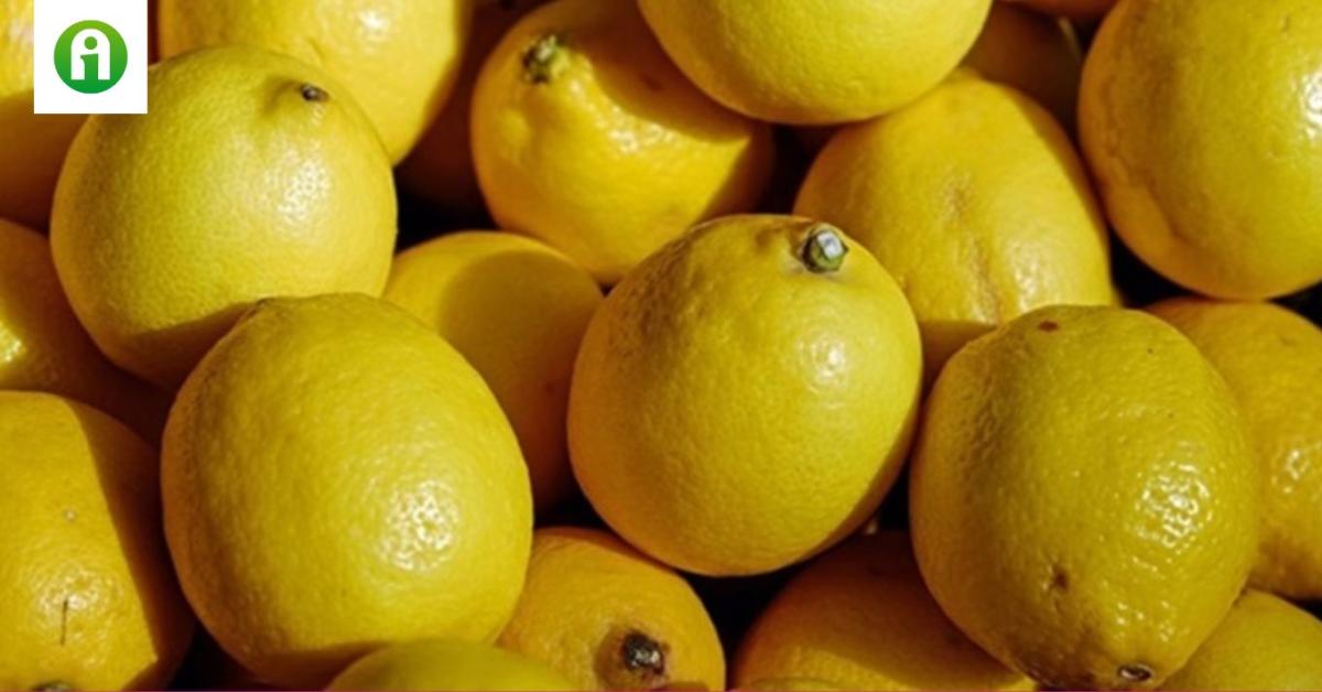 Minden, amit a téli hónapokban a C-vitamin szedéséről tudnod kell Minden, amit a téli hónapokban a C-vitamin szedéséről tudnod kell