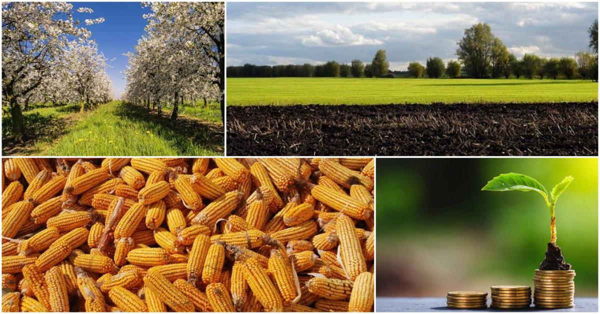 AKG-elvárások, pályázati határidők, a borágazat várható jövője AKG-elvárások, pályázati határidők, a borágazat várható jövője
