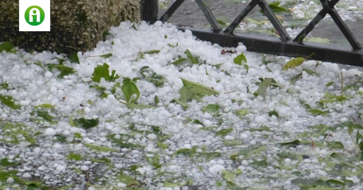 Vádat emeltek a jégkármérséklő rendszer ellen hergelő férfi ellen Vádat emeltek a jégkármérséklő rendszer ellen hergelő férfi ellen