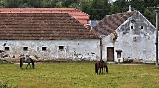 A németországi kisgazdaságok is bajban vannak, nem bírnak talpon maradni