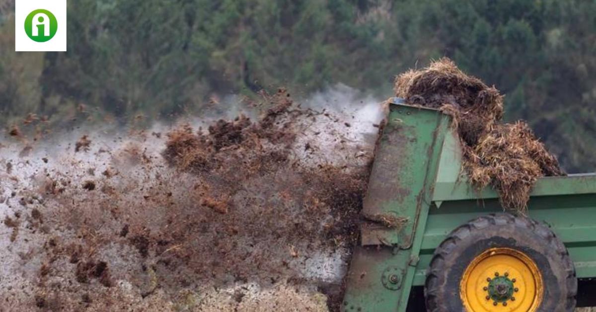Ezért fontos a trágyázás jó ütemezése, ha zöldséget termelsz ...