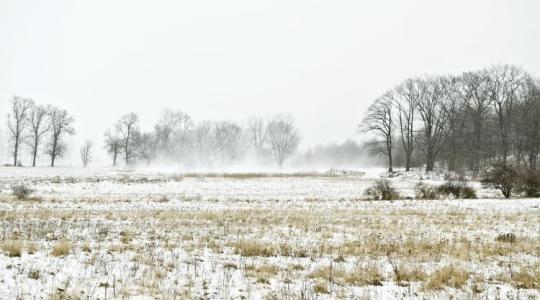 Időjárás: Még nem csillapodik a szél ereje +VIDEÓ