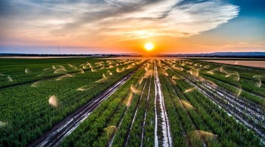 Mire számíthat 2024-ben az agrárium és az élelmiszeripar?