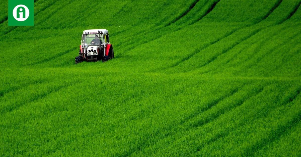 A gazdatársadalom számára egy út van, ha érvényesülni akar A gazdatársadalom számára egy út van, ha érvényesülni akar
