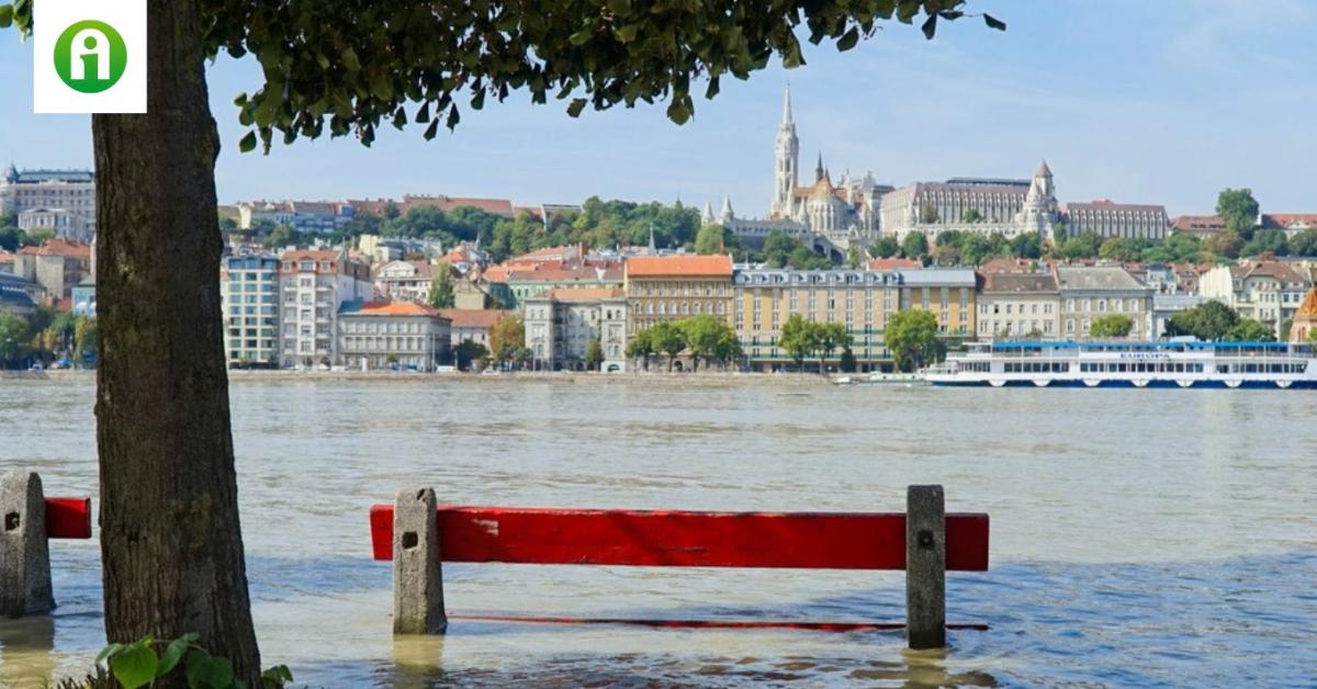 2024 az időjárási katasztrófák éve volt, és ennek a mezőgazdaság látta kárát 2024 az időjárási katasztrófák éve volt, és ennek a mezőgazdaság látta kárát