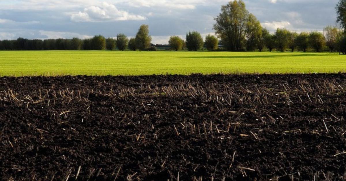 Hogy alakul az elővásárlói rangsor a földforgalomban a 2024. január 1-től életbe lépett változások után?