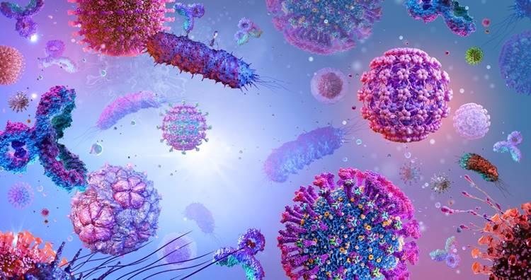 Mutálódott a madárinfluenza vírusa, és ez elég rossz hír Mutálódott a madárinfluenza vírusa, és ez elég rossz hír