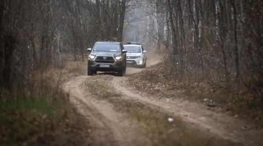 Megsokasodtak a fatolvajok, keményen fellépnek ellenük a rendőrök és az erdészek