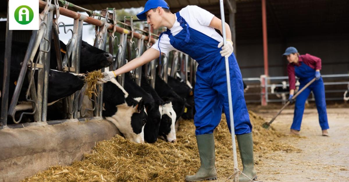 Újabb fordulat a Fülöp-szigeteki vendégmunkások ügyében Újabb fordulat a Fülöp-szigeteki vendégmunkások ügyében