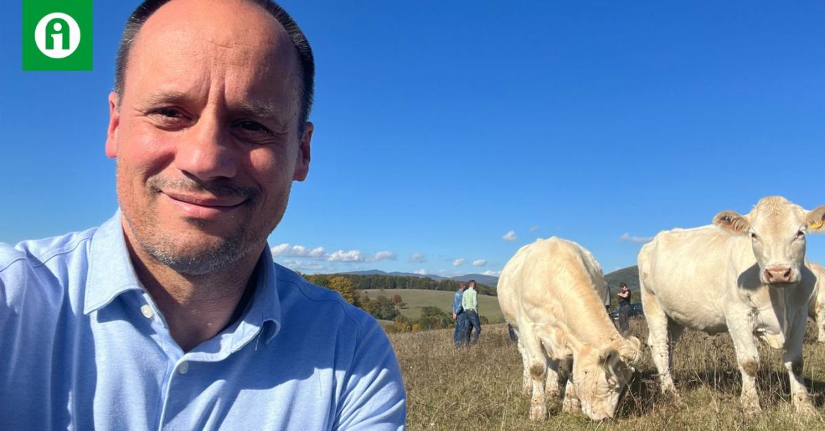 El a kezekkel a marháktól! Nézzük inkább a számokat... El a kezekkel a marháktól! Nézzük inkább a számokat...
