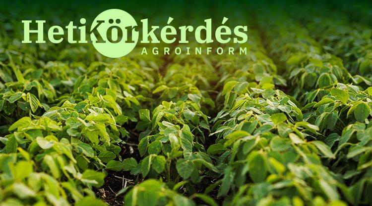Miért fontos a termőhely és a szójafajta kapcsolata? – Heti Körkérdés Miért fontos a termőhely és a szójafajta kapcsolata? – Heti Körkérdés
