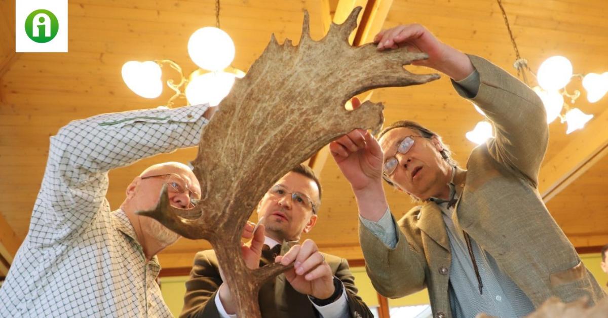 Nemcsak magyar, de világrekord is lehet ez a trófea Nemcsak magyar, de világrekord is lehet ez a trófea