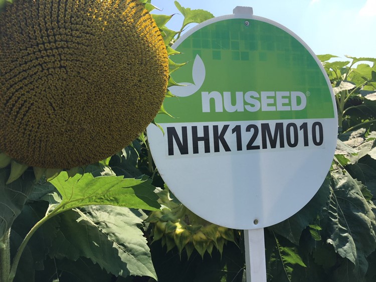 Nuseed