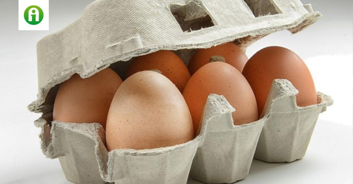 Fontos élelmiszer ára emelkedhet Fontos élelmiszer ára emelkedhet