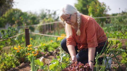 Zöldebb gazdaságot teremtenek a női vezetők – vajon mi a titkuk?