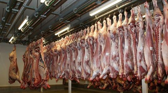 Döntés született Strasbourgban az állatok kábítás nélküli rituális levágásának tilalmáról