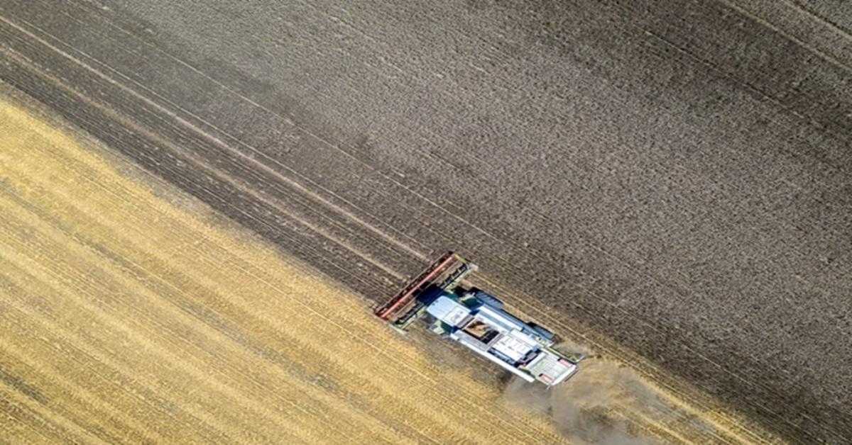 Ukrán termőföldpiac: befektetők rohama a háború ellenére