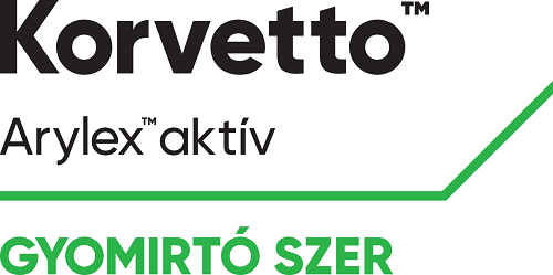 korvetto