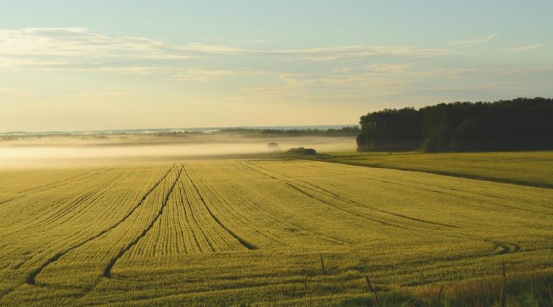 Brutális földárak Európában – a máltaitól te is padlót fogsz!