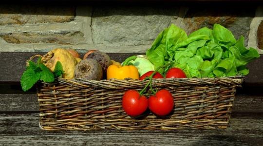 Vágj bele te is: a biointenzív kertészkedés előnyei