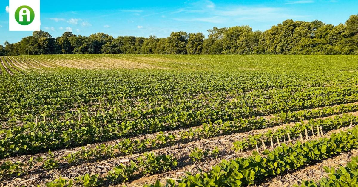 Készítménylisták a 2025-ös AÖP vállalások teljesítéséhez